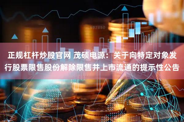 正规杠杆炒股官网 茂硕电源：关于向特定对象发行股票限售股份解除限售并上市流通的提示性公告