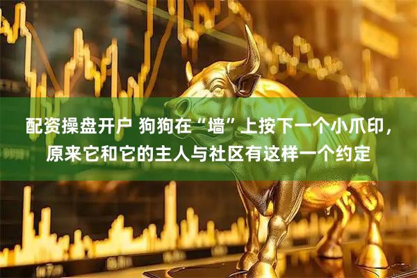配资操盘开户 狗狗在“墙”上按下一个小爪印，原来它和它的主人与社区有这样一个约定