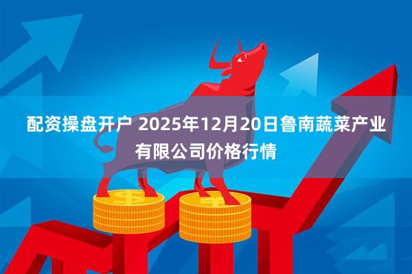 配资操盘开户 2025年12月20日鲁南蔬菜产业有限公司价格行情