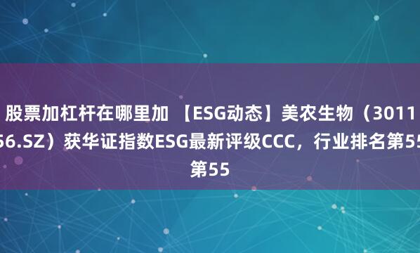 股票加杠杆在哪里加 【ESG动态】美农生物（301156.SZ）获华证指数ESG最新评级CCC，行业排名第55