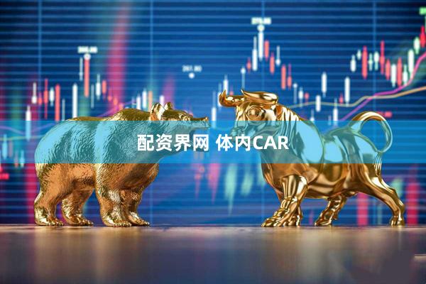 配资界网 体内CAR